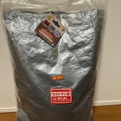 ディズニー　一番くじ　ラストワン賞　ピーターパンクッション