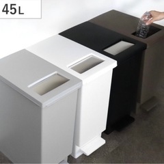 ゴミ箱 45L 2WAY(プッシュ＆ペダル) スリム  縦型 蓋...