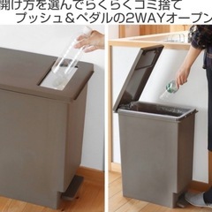 ゴミ箱 45L 2WAY(プッシュ＆ペダル) スリム  縦型 蓋付き　シンプル　黒  1つの画像