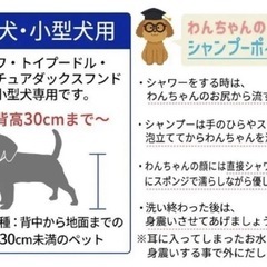 犬のお風呂
の画像
