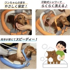 犬のお風呂
の画像
