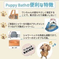 犬のお風呂
の画像