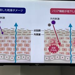一緒にスキンケアを楽しもう♪🎵