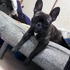 犬の散歩［鶴見緑地］