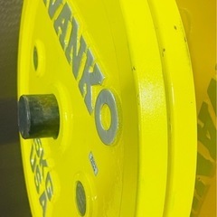 Ivanko イバンコ　 パワーリフティングプレート　15kg 2枚の画像