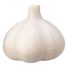 にんにくを作ってる方おられませんか？