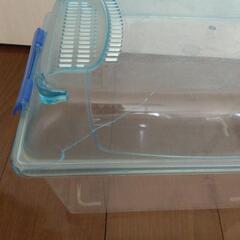 飼育ケース④　虫カゴの画像