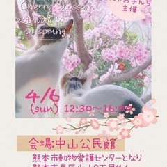 🌸春の🐱保護猫ふれあい譲渡会☘️🐱中山公民館