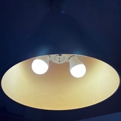 ホワイト　鉄製照明器具の画像