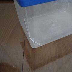 飼育ケース⑥　虫カゴの画像