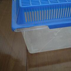 飼育ケース⑥　虫カゴの画像
