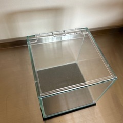 水槽　15cmの画像