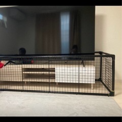 テレビゲート