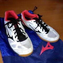 バドミントンシューズ 25.5＆シューズ入れ MIZUNOの画像
