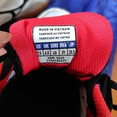 バドミントンシューズ 25.5＆シューズ入れ MIZUNOの画像
