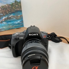 ソニーα380