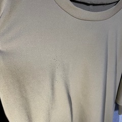 【最終セール】ミンクス　レディース 半袖　 カットソー　Mの画像