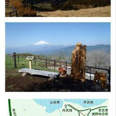 4/5（土）大野山ハイク、募集