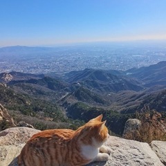 登山友達がほしいです🗻