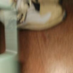 モトクロスブーツの画像