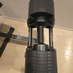 可変式ダンベル フレックスベル 32kg 2kg刻み 2個セット　＋ライシン インクラインベンチ ロング　の画像