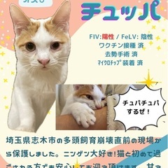 チュパらせてくれるお家募集⭐︎チュッパ
