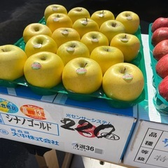 【残22】青森県産🍎シナノゴールド糖度13℃保証付入荷しました！✨
