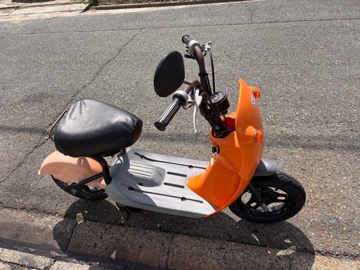 スズキ　ちょいのり