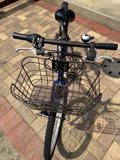 自転車小学生24