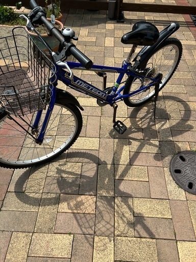 自転車小学生24