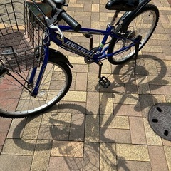自転車小学生24
