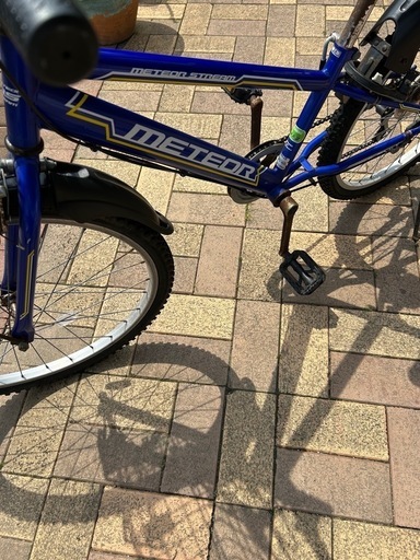 自転車小学生24