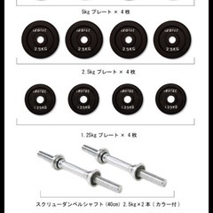 IROTEC （アイロテック） アイアンダンベル 40KGセット （片手20kg×2） 　レギュラーWバー 径28mm　の画像