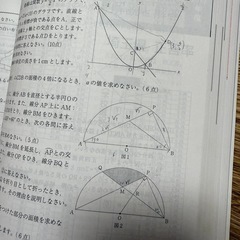 過去問題集 2024年度用 埼玉県公立高校 学力検査、学校選択問題の画像