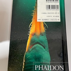 魚の顔図鑑の画像