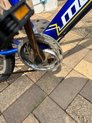 自転車小学生24