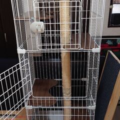 高層キャットゲージ