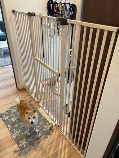 猫や犬の脱走防止　ペットゲート