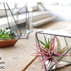 ステンドグラス　小物入れ　ガラス製の画像