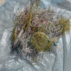 菊の花の固定　針金の画像