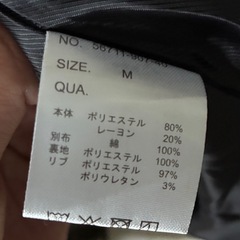 チャオパニック　Ｍの画像