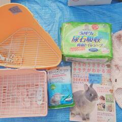 うさぎ小物