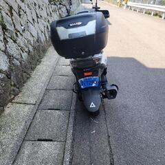 スズキ スウイッシュの画像