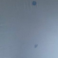 エムリリー　厚さ11cm セミダブルの画像