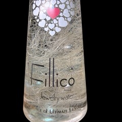 希少　Fillico フィリコ ハーバリウム　ラインストーン 王冠キャップの画像
