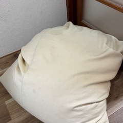 【本日限定】クッション