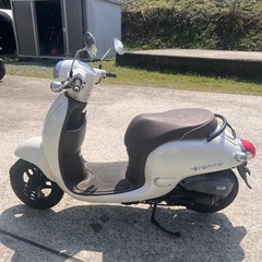 ホンダ　ジョルノの画像