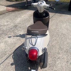 ホンダ　ジョルノの画像