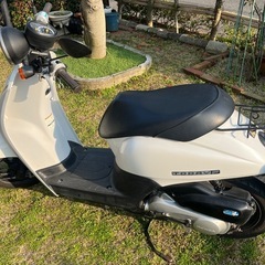 原付バイク　ホンダトゥデイF 　インジェクション仕様の画像