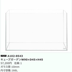 初めての水槽setの画像
